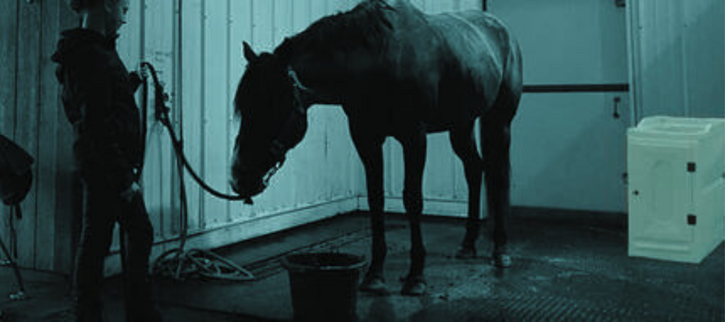 The Versatile Cabinet