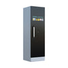 1 Door LithiumVault Cabinet - CH-L1K