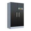 2 Door LithiumVault Cabinet - CH-L5K