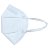 (Clearance) Disposable Protective Masks - FM DEL FFP2